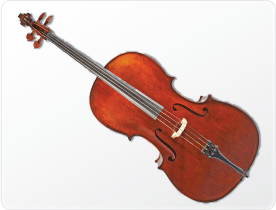 Cello Rental